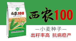 輝縣市豫北種業有限公司