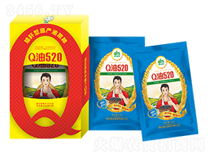 Q��520-�Ͳ˷N��-�����N�I